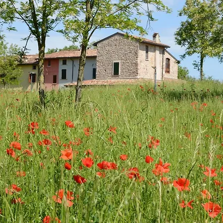 Apartmán I Barbasse Volto